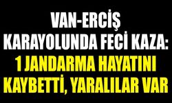 Van-Erciş karayolunda feci kaza: 1 Jandarma hayatını kaybetti, yaralılar var