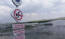 Van Gölü’nde boğulma vakalarına karşı uyarı!