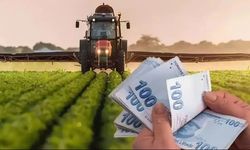 Van ve bölge çiftçisine müjde: Tarımsal destekler başladı