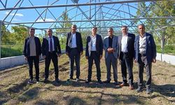 Van’da çilek üretimi için sera kurulumları sürüyor