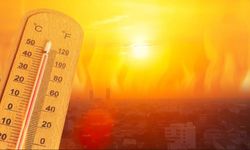 Van'da hava sıcaklığı 29 dereceye çıkacak!