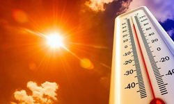 Van'da hava sıcaklıkları artıyor