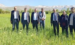 Van’da hububat seferberliği meyvelerini veriyor