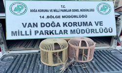 Van’da kafes avcılığına darbe! 60 bin 670 TL ceza...