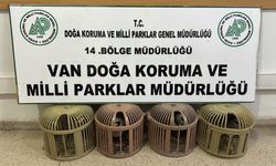Van’da kafes avcılığına geçit yok: Kaçak avcıya ağır ceza