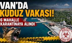 Van'da kuduz vakası! 6 mahalle karantinaya alındı