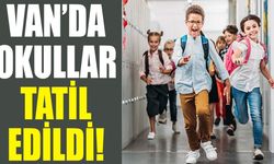 Van’da okullar tatil edildi! Bakan Tekin duyurdu