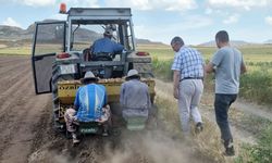Van’da patates üretimine yerli çeşit desteği