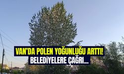Van’da polen yoğunluğu arttı!