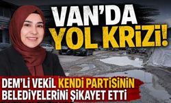 Van’da yol krizi! DEM’li vekil kendi partisinin belediyelerini şikayet etti