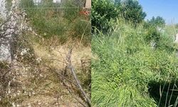 Vanlılardan belediyeye tepki: “Bari ölümüze sahip çıkın”
