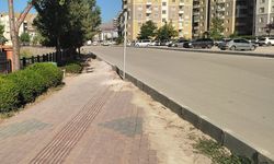 Akköprü Parkı'ndaki tahribat tepki çekiyor! Yol yapıldı, park unutuldu