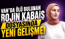 Van'da ölü bulunan Rojin Kabaiş dosyasında yeni gelişme!