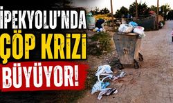 İpekyolu'nda çöp krizi büyüyor!
