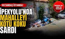 İpekyolu’nda çöp tepkisi: Mahalleyi kötü koku sardı