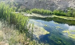 Tarihi Şamran Kanalı’nda su yolu temizlenecek