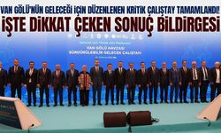 Van Gölü'nün geleceği için kritik çalıştay tamamlandı! İşte 2050 yol haritası