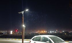 Van Sahil Yolu’nda sinek istilası!