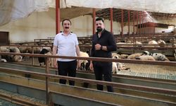 Van TB Başkanı Süer’den üreticilere ziyaret
