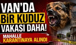 Van’da bir kuduz vakası daha! Mahalle karantinaya alındı