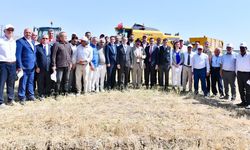 Van’da buğday hasadı gerçekleştirildi