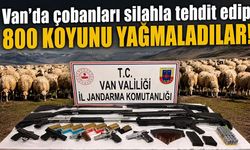 Van’da çobanları silahla tehdit edip 800 koyunu yağmaladılar!