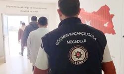 Van'da göçmen kaçakçılığı operasyonu: 1 organizatör tutuklandı