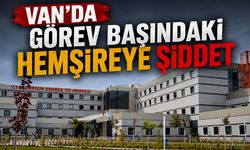 Van'da görev başındaki hemşireye şiddet