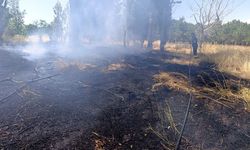 Van'da itfaiye ekiplerinden peş peşe yangın mesaisi