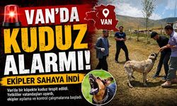 Van'da kuduz alarmı! Ekipler sahaya indi