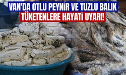 Van'da otlu peynir ve tuzlu balık tüketenlere hayati uyarı!