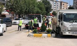 Van’da peyzaj çalışmalarıyla kavşaklar renkleniyor
