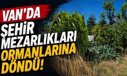 Van’da şehir mezarlıkları ormanlarına döndü!