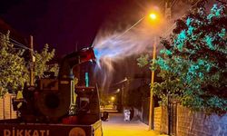 Van’da sineklere karşı mücadele!