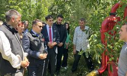 Van’da su kaynaklarının geleceği masaya yatırıldı