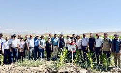 Van'da tarımda bilim çağı
