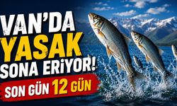Van’da yasak sona eriyor! Son gün 12 gün