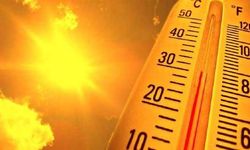 5 günlük hava tahminini belli oldu: Muş kavrulacak!