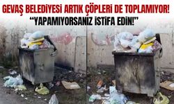 Gevaş Belediyesi artık çöpleri de toplamıyor!