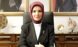 Bakan Göktaş Van'a geliyor