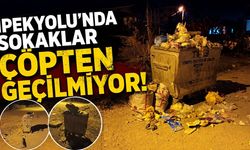 İpekyolu’nda sokaklar çöpten geçilmiyor!