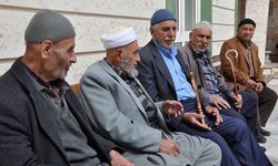 Türkiye'de tarihi rekor! Son 5 yılda yüzde 20,5 arttı
