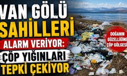Van Gölü sahilleri alarm veriyor: Çöp yığınları tepki çekiyor