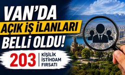 Van’da açık iş ilanları belli oldu: 203 kişilik istihdam fırsatı