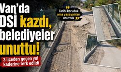 Van’da DSİ kazdı, belediyeler unuttu! 3 ilçeden geçen yol kaderine terk edildi