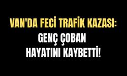Van Muradiye'de trafik kazası: Genç çoban hayatını kaybetti!