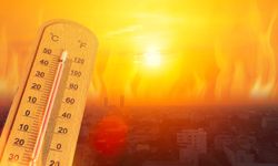 Van’da hava sıcaklıkları mevsim normalleri üzerinde: O ilçe 38 dereceye kadar çıkacak