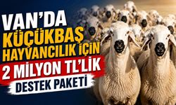 Van’da küçükbaş hayvancılık için 2 Milyon TL’lik destek paketi