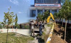 Van'da okul bahçeleri fidanlarla yeşerdi
