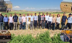 Van’da tarımsal demonstrasyon çalışmalarında yüksek verim elde edildi